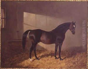 'Touchstone', 1844 'Touchstone', 1844