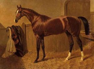 'Orlando', Winner of the Derby in 1844