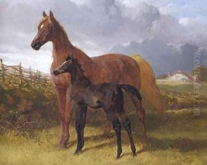 Chestnut Mare And Foal