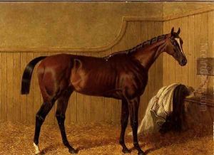 'Touchstone', a bay racehorse in a loosebox
