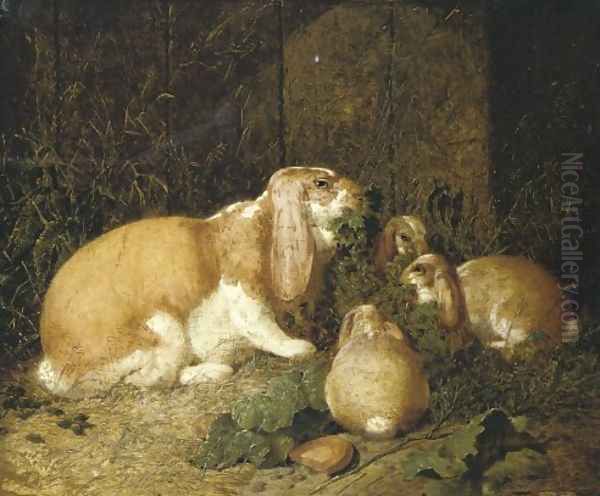 Lop Eared Rabbits 1860 - view 1