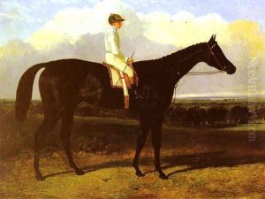 "Jonathan Wild", a drak bay Race Horse, at Goodwood, T. Ryder up
