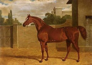 "Comus" A Chestnut Racehorse in a Stable Yard