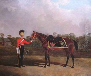 Robert Knox with his Charger, 6th Dragoon Guards (Caribineers) by John Frederick Herring Snr