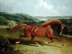Galloping Horse in a Landscape by John Frederick Herring Snr