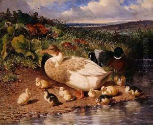 Ducks by a Stream, 1863 by John Frederick Herring Snr