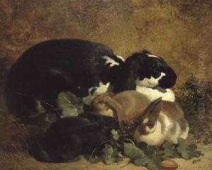 Rabbits, 1852 by John Frederick Herring Snr