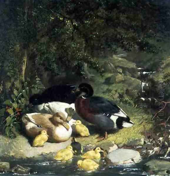 Ducks and Ducklings (2) - view 1