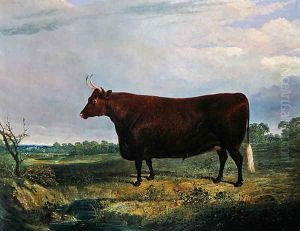 Portrait of a Brown Bull, 1831 by John Frederick Herring Snr