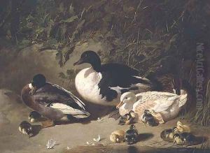 Ducks and Ducklings by a Pond by John Frederick Herring Snr