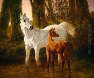 Mare and Foal startled while watering in a Stream, 1854 by John Frederick Herring Snr