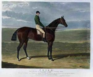 'Priam', the Winner of the Derby Stakes at Epsom, 1830 'Priam', the Winner of the Derby Stakes at Epsom, 1830