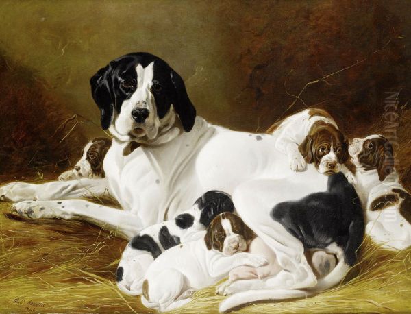 The New Litter - view 1