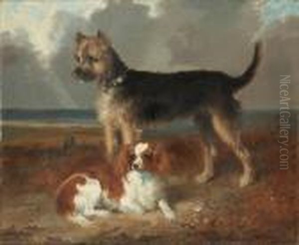Twosmall Dogs - view 1