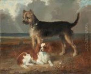 Twosmall Dogs