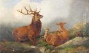 A Stag And Family In The Highlands by Richard Ansdell