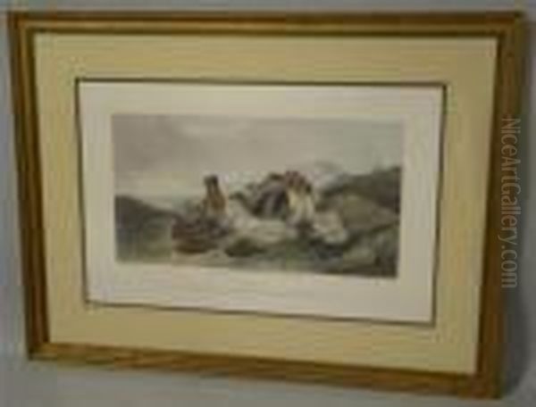 Grouse - view 1