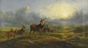 Landskap Med Hjortar by Richard Ansdell