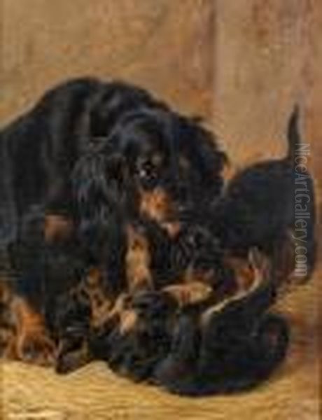 A Family Of Gordon Setters - view 1