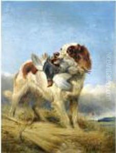 An English Setter Retrieving Partridge by Richard Ansdell