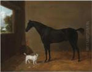 A Dark Bay Horse In A Stable