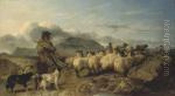 A View In The Grampians - view 1