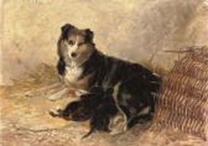 Motherhood - A Collie With Puppies