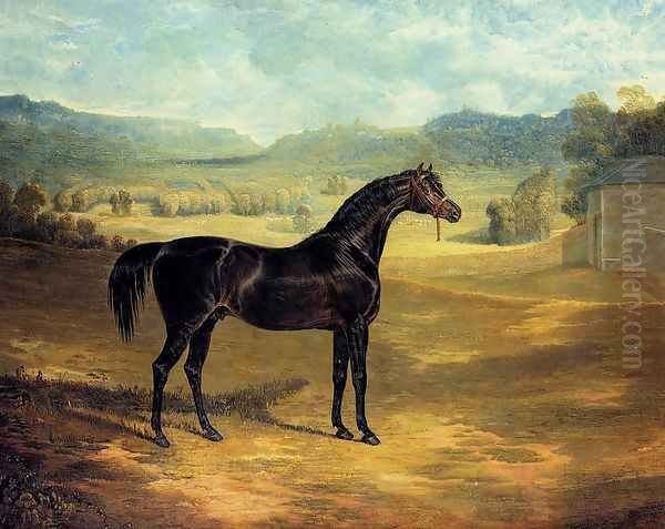 The Bay Stallion Jack Spigot - view 1