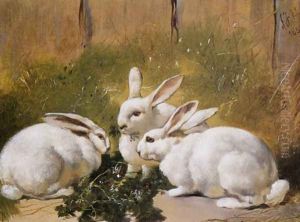 Three White Rabbits 1851 by John Frederick Herring Snr