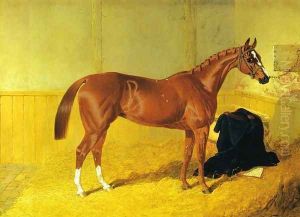 Our Nell, A Bay Racehorse in a Stable