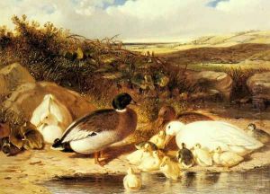 Mallard Ducks and Ducklings on a River Bank