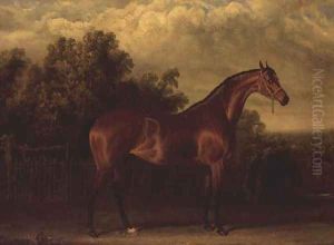 Negotiator' a Bay Colt in a Wooded landscape by John Frederick Herring Snr