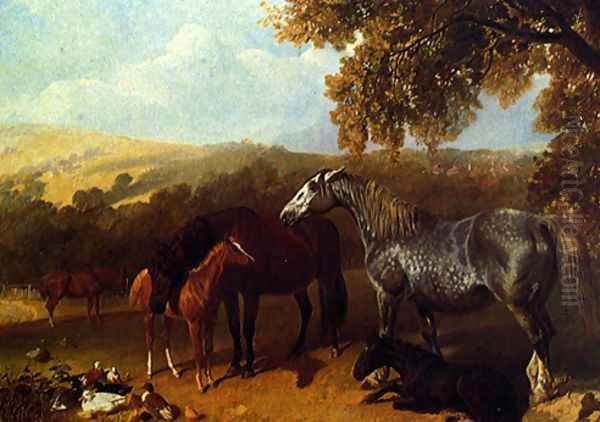 A Farmyard With Numerous Animals - view 1