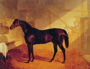 Mr Johnstone's Charles XII in a Stable