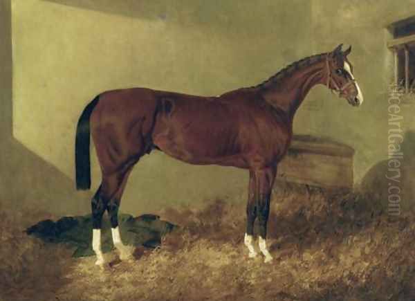 Aristides A Bay Colt 1844 - view 1