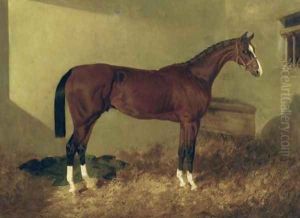 Aristides A Bay Colt 1844 by John Frederick Herring Snr
