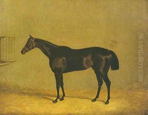 Racehorse Mulatto 1936