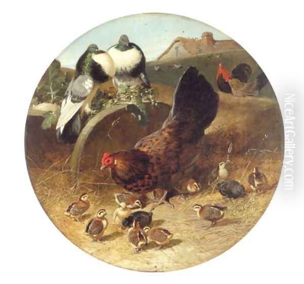 Hen With Chicks & Pigeons - view 1