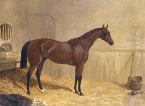 Cotherstone A Racehorse 1843 by John Frederick Herring Snr