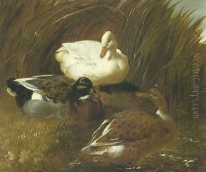 Ducks Beside A Stream 1851 by John Frederick Herring Snr