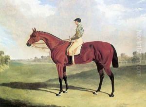 Bay Middleton With Jockey Up at Six Mile Bottom 1836