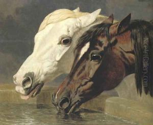 Grey And Dark Bay 1855 by John Frederick Herring Snr