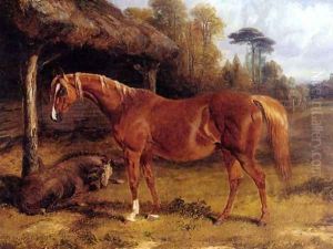 Mare And Foal By A Shed