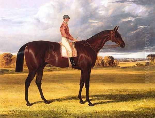 Amato 1838 Derby Winner - view 1