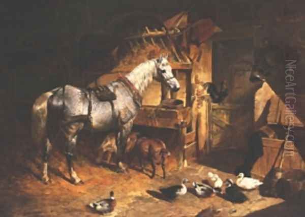 Grey In A Stable With Ducks & Goats - view 1