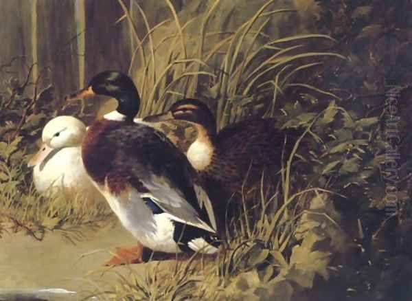 Ducks By A River Bank 1845 - view 1