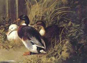 Ducks By A River Bank 1845 by John Frederick Herring Snr