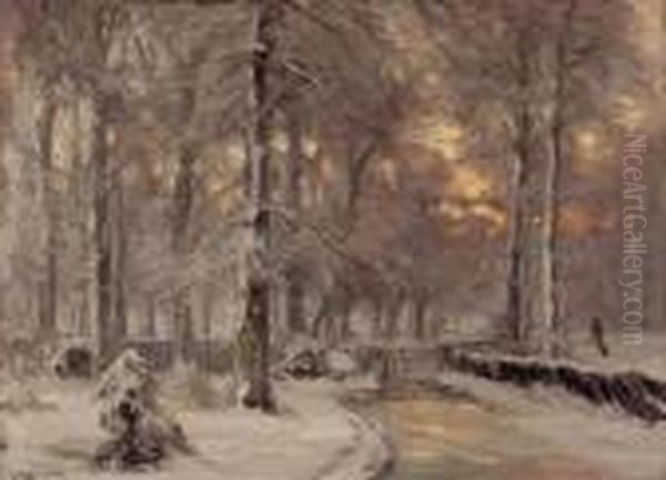 Winterwald Bei Sonnenuntergang - view 1