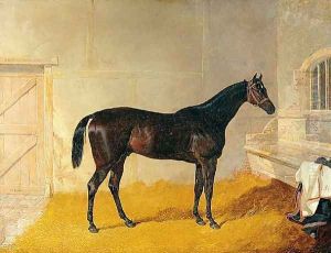 Mr. G. Blakelock's Racehorse A British Yeoman by John Frederick Herring Snr