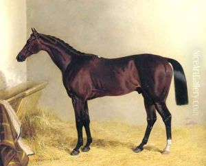 Bay Colt Don John 1838 by John Frederick Herring Snr
